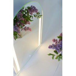 Mirror with LED lighting H840x600mm