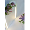 Mirror with LED lighting H840x600mm