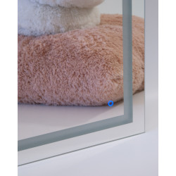 Mirror with LED lighting 600x1600mm