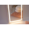 Mirror with LED lighting 600x1600mm