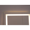 Mirror with LED lighting 600x1600mm