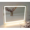 Mirror with LED lighting 600x800mm eco