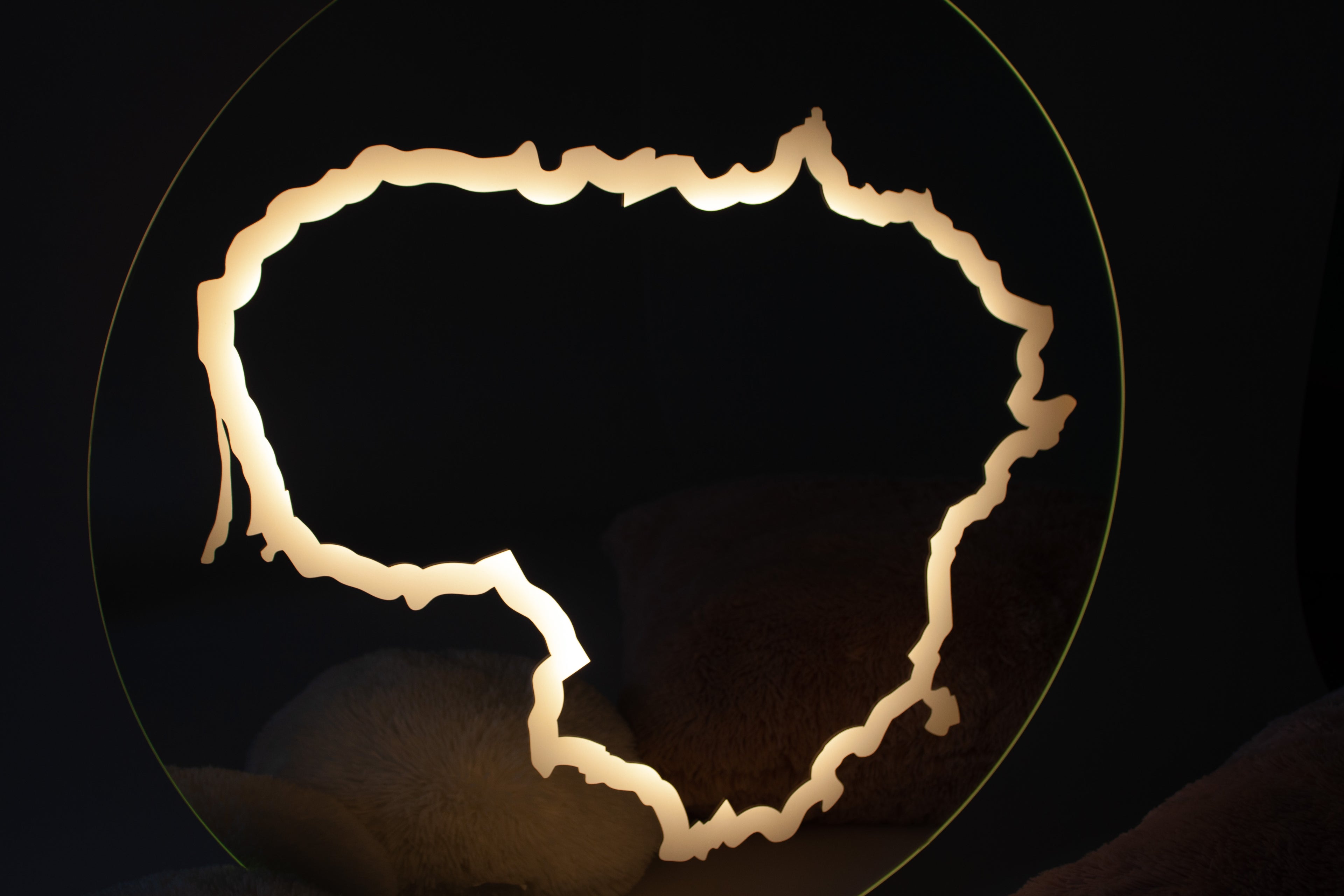 Lietuvos žemėlapis Apvalus  veidrodis su Led apšvietimu